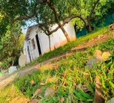 Sree Veda Wellness Resort - spa