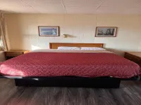 Coachman Motor Lodge - Apartments