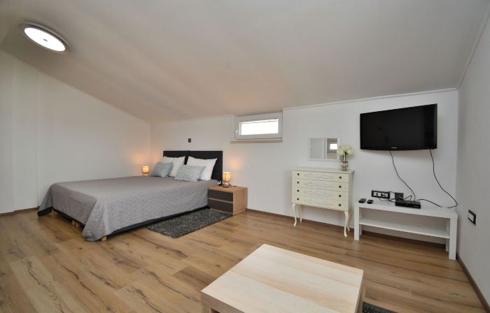 Apartment Bellevue