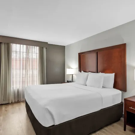 Comfort Suites Near Potomac Mills