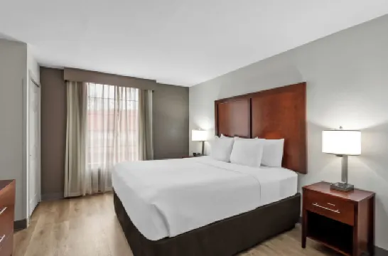 Comfort Suites Near Potomac Mills Hotels in Prince William County