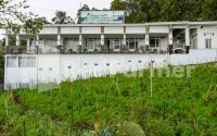 Hotel Green View near Sarangan Lake RedPartner