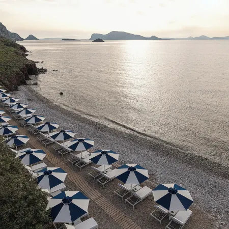 Bellevalia Hydra - Formerly Four Seasons Hydra