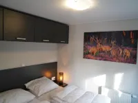 Forest-View Tiny House - 3-Star