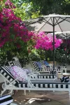 The Last Word Constantia - Pool