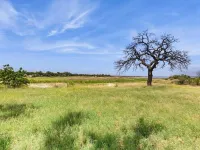 Waterfront Home With Kayak, View, Fire Pit & Wifi - Dog-friendly Hotel di Buchanan Dam