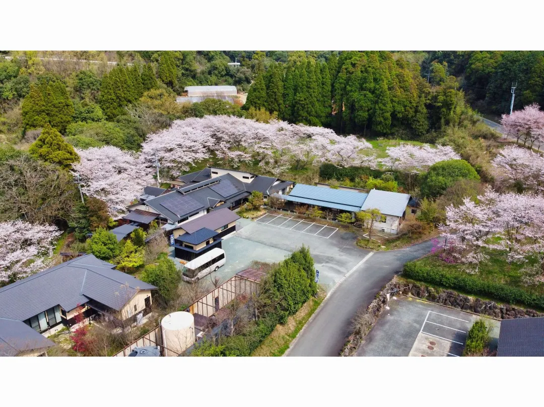 Imamura - Yamaga