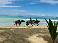 Charming Villa GUGI in Palmeras de Coson - Villas