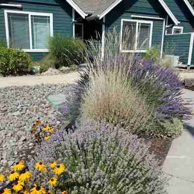 WALK TO DOWNTOWN & OLD MILL-1 BLOCK TO THE RIVER-MODERN/ATTRACTIVE 1 BDR SUITE Hotel Exterior