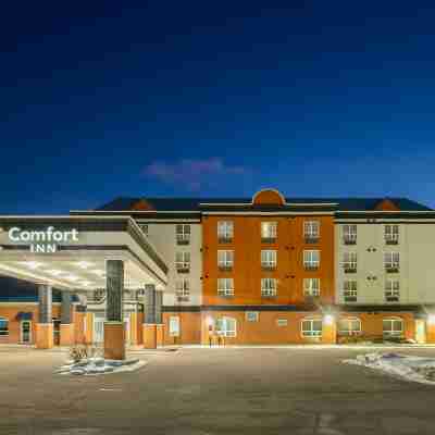 Comfort Inn Hotel Exterior