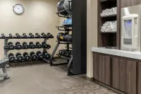 Residence Inn Novato Sonoma - Fitnessstudio