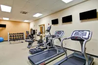 Hilton Garden Inn Ottawa Airport - Træningscentre