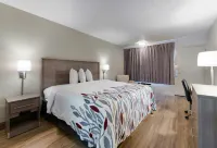 Red Roof Inn Dayton - Moraine/U of Dayton - Parkering