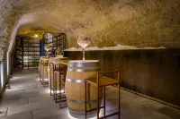 Palacio Tondon, la Rioja Brinas - bar