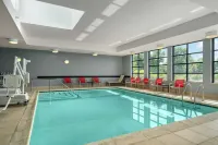 Homewood Suites by Hilton Newtown - Langhorne - Pool