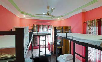 Eltravo Hostel Udaipur - Housity