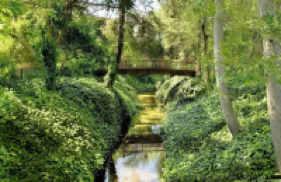 Creekside Inn Hotels in 