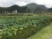興仁鯉魚度假飯店