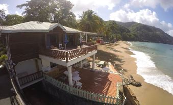 The Naturalist Beach Resort