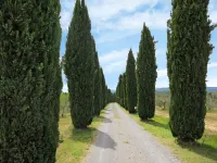 Le Palaie - 'Mangiatoia'