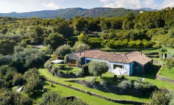 Monaci Delle Terre Nere