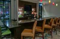 落基山I-95US64假日酒店 - 酒吧