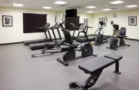 Holiday Inn Express & Suites DAVENPORT by IHG - Træningscentre