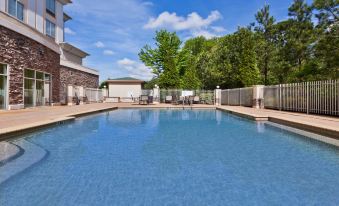 Holiday Inn Express & Suites Phenix City - FT. Moore