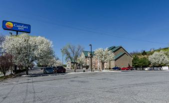 Comfort Inn Wytheville - Fort Chiswell