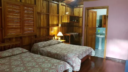 失落城市生態小屋