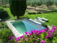 Le Pozze Terme B&B Hotels in Vetralla