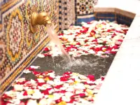 Riad-Boutique Borj Dhab Fez - สวนน้ำ