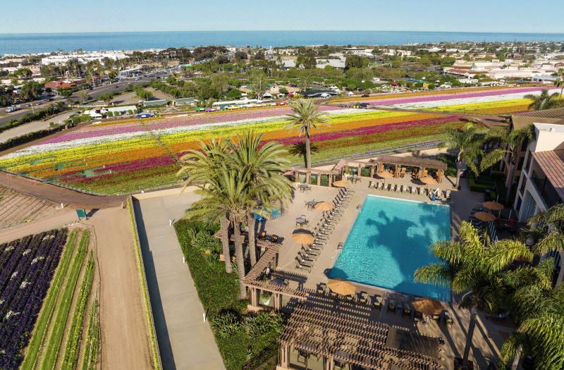 The Cassara Carlsbad, Tapestry Collection by Hilton photo 4