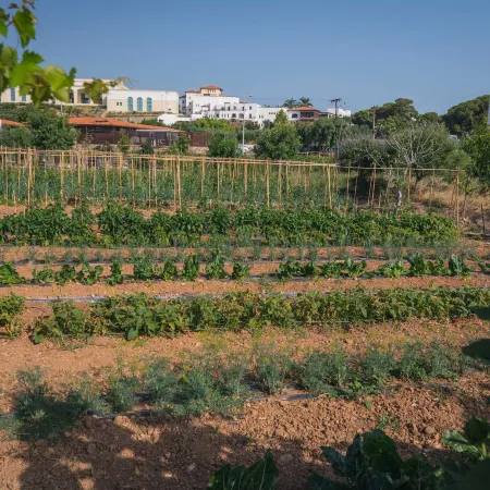 Creta Maris Resort