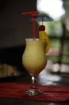 扎瓦酒店 - 酒吧