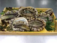 翔山商務旅館