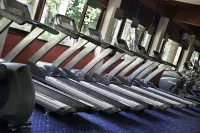 Aryaduta Lippo Village - palestra