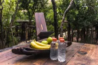 ร็อค จังเกิล ตูลุม