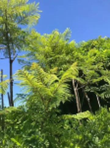 Crown CBD Motel - City Location