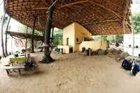 Daltons Banana Guesthouse Hotels in York