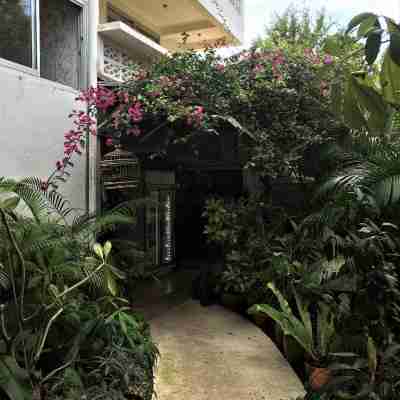 Lemon House Hotel Hotel Exterior