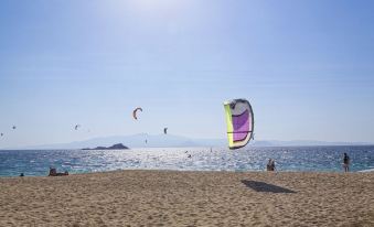 a group of people are enjoying a day at the beach , flying colorful kites in the sky at Natura Villas in Naxos