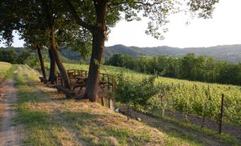 Ca' San Sebastiano Wine Resort & Spa