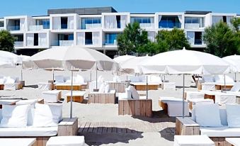 Hôtel Plage Palace & Spa