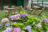 B&B Ca' d'Ambra Отели в г. Черезоле-Реале