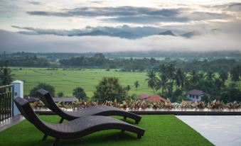C View Home