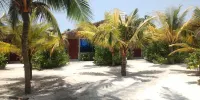Island Life Maldives Retreat & Spa - Wi-Fi