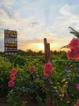 Plook Ngern Resort Hotels in Chok Chai