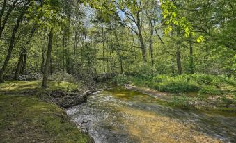 Cozy Tellico Plains Cabin w/ Large Mountain Creek!