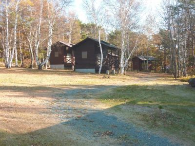 共有エリア 時空の杜の写真